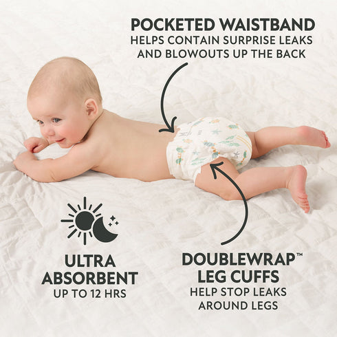 Member's Mark Premium Baby Diapers, Sizes 1 - 7
