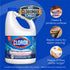 Clorox Performance Bleach, 121 fl. oz.