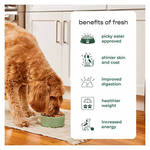 Freshpet Healthy & Natural Dog Food - Fresh Multi Protein Recipe, 3 lbs.