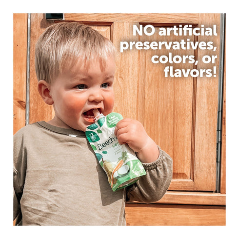 Beech-Nut Veggies and Fruities Stage 2 Baby Food Variety Pack, 18 pk./35 oz.