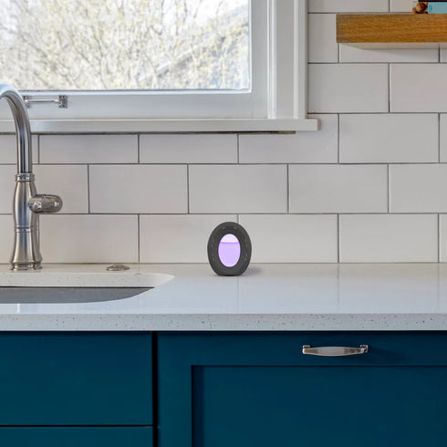 Febreze Bath Air Freshener - Mountain, Lavender & Downy Calm Scents, 6 ct.