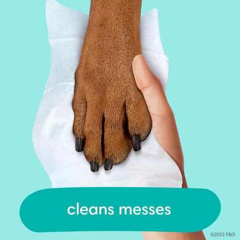 Pampers Baby Clean Wipes - Fresh Scent, 15 pk./1200 wipes