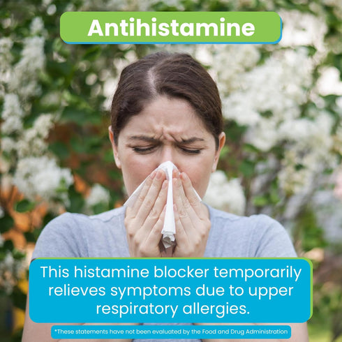 Berkley Jensen Allergy Relief Loratadine 10mg Tablets, 365 ct