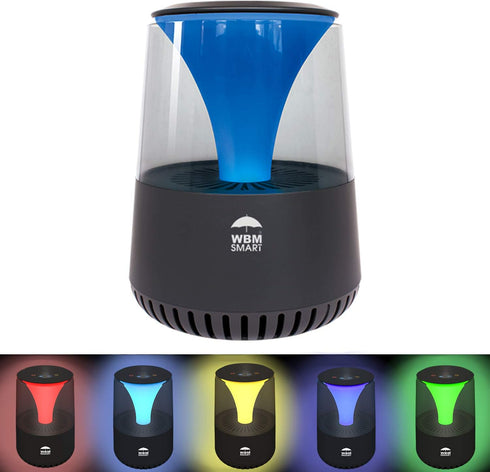 HEPA Air Purifier with Bluetooth Speaker - Black | WBM SMART