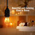 WS Salt Light Bulb – 7W, 4 Pack | Replacement Bulbs for Himalayan Salt Lamps