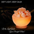Himalayan Glow Salt Bowl lamp with Salt Chunks