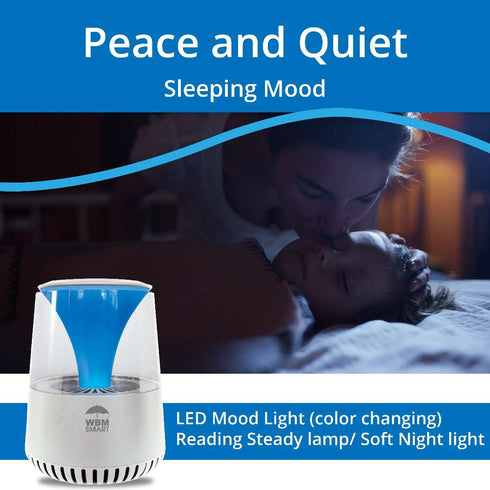 HEPA Air Purifier with Bluetooth Speaker - White | WBM SMART