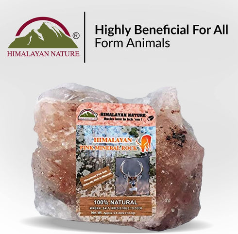 Animal Licking Pink Salt Rock Lick Deer, 5 Pound, Natural Mineral Block, Hand-Carved, Ideal for Wildlife