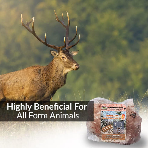 Animal Licking Pink Salt Rock Lick Deer, 5 Pound, Natural Mineral Block, Hand-Carved, Ideal for Wildlife