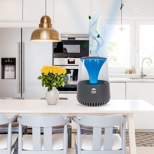 HEPA Air Purifier with Bluetooth Speaker - Black | WBM SMART