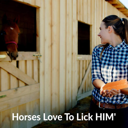 Horse Licking Salt - 5 lbs | HIMALAYAN NATURE