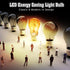 WS Salt Light Bulb – 7W, 4 Pack | Replacement Bulbs for Himalayan Salt Lamps