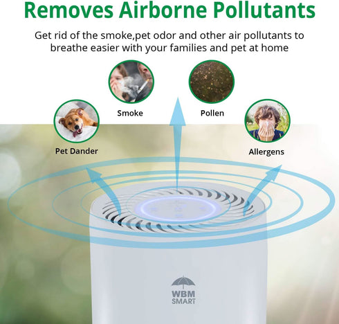 Air Purifier for Home - White | WBM SMART