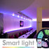 RGB LED Strip Lights Remote Control 16.4 ft | WBM SMART