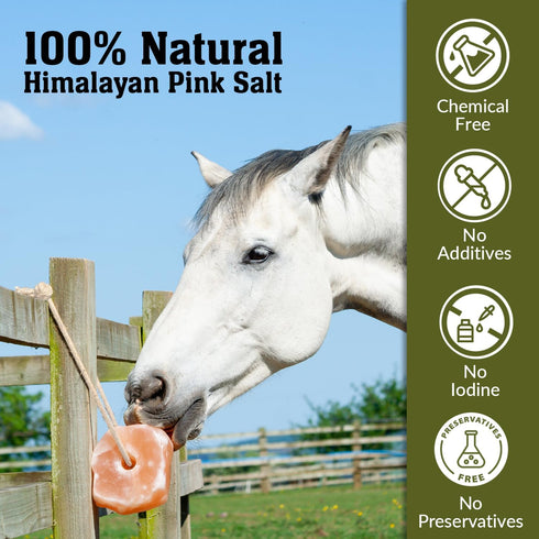 Himalayan Nature Animal Licking Salt Mineral Rock,100% Natural Rock Salt - Horse Attractant Rock