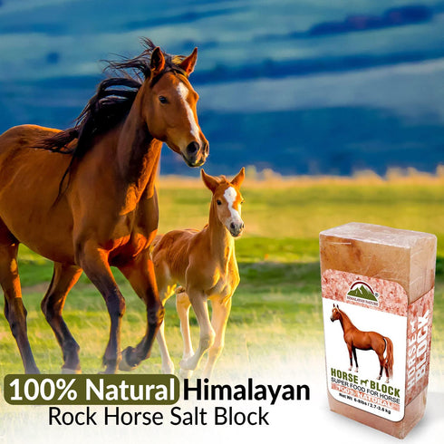 Horse Licking Salt - 5 lbs | HIMALAYAN NATURE