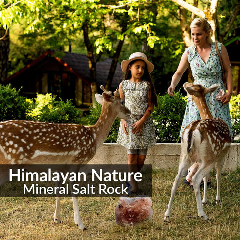 Animal Licking Pink Salt Rock Lick Deer, 5 Pound, Natural Mineral Block, Hand-Carved, Ideal for Wildlife