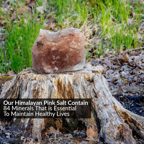 Animal Licking Pink Salt Rock Lick Deer, 5 Pound, Natural Mineral Block, Hand-Carved, Ideal for Wildlife