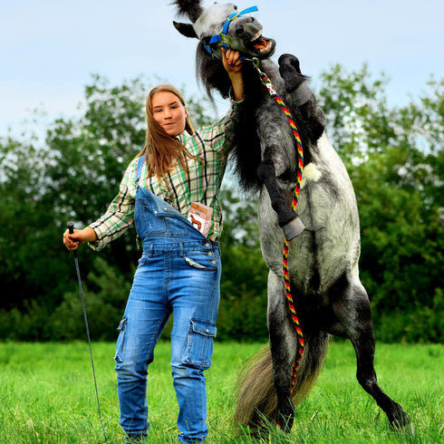 Horse Licking Salt - 5 lbs | HIMALAYAN NATURE