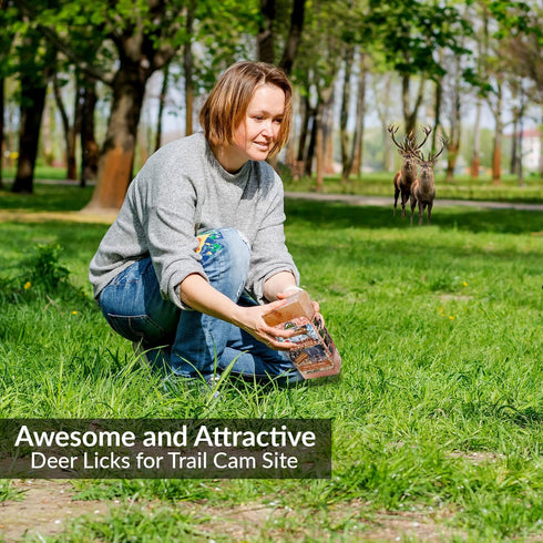 Brick Salt for Deer | HIMALAYAN NATURE