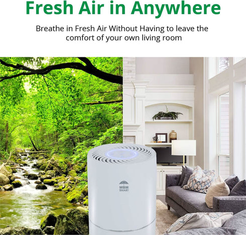 Air Purifier for Home - White | WBM SMART