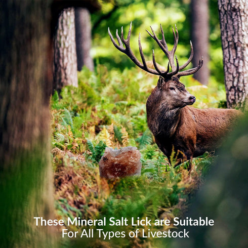 Animal Licking Pink Salt Rock Lick Deer, 5 Pound, Natural Mineral Block, Hand-Carved, Ideal for Wildlife
