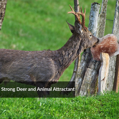 Animal Licking Pink Salt Rock Lick Deer, 5 Pound, Natural Mineral Block, Hand-Carved, Ideal for Wildlife