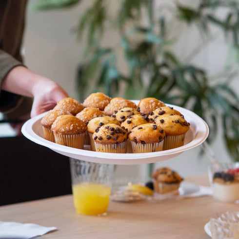 Chinet Classic 10" Dinner Plates, 165 ct.