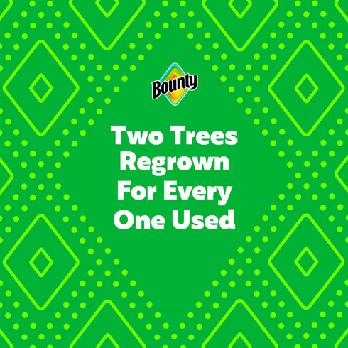 Bounty Select-a-Size Paper Towels, 12 pk./121 sheets per roll