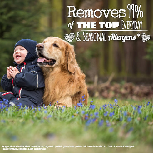 all Free & Clear Mighty Pacs Laundry Detergent, 134 ct.