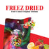 NORTHLANDZ Freeze Dried Candy | RAINBOW CRUNCH ORIGINAL - 10 Bags
