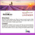Natural Solution Lavender Nasal Inhaler – 0.68 oz | Aromatherapy Stress Relief & Soothing Breath Aid