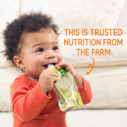 HappyBABY Organics Clearly Crafted Fruit & Oat Pouches, Variety Pack, 12 ct., 4 oz.
