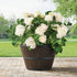 Member’s Mark 22" Wine Barrel Planter – Rustic Outdoor & Indoor Garden Container for Flowers, Herbs, and Small Plants