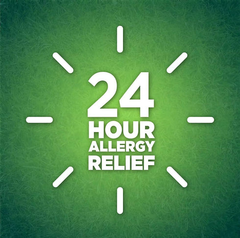 Berkley Jensen 24-Hour Allergy Relief Nasal Spray, 4 ct