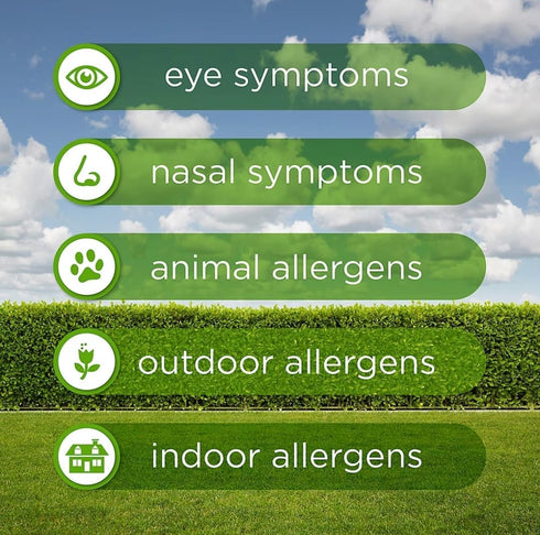 Berkley Jensen 24-Hour Allergy Relief Nasal Spray, 4 ct