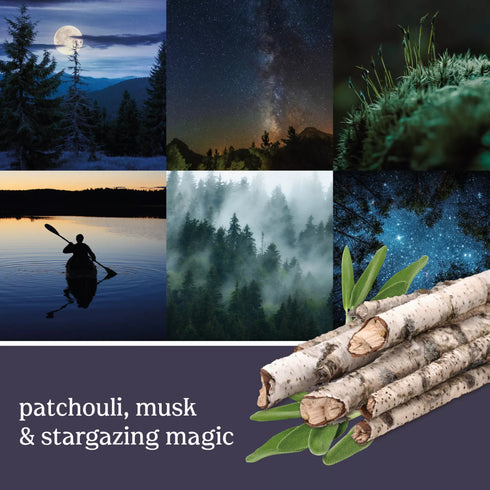 Yankee Candle Midsummer's Night Sidekick Vent Clip Fragrance Refill Kit