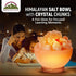 Himalayan Glow Salt Bowl lamp with Salt Chunks