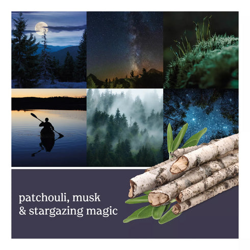 Yankee Candle Scent Plug Starter Kit - Midsummer's Night